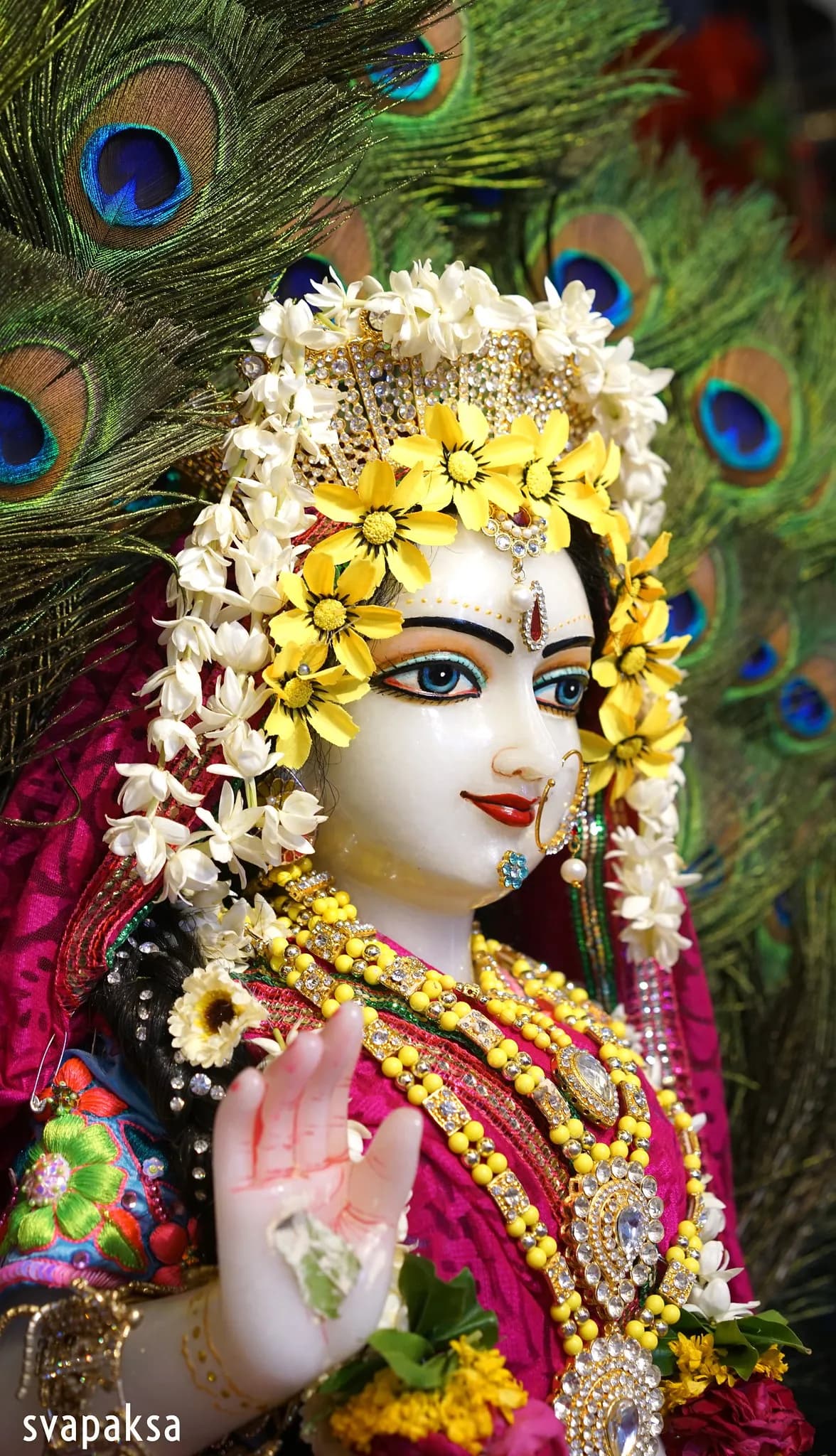 WHY IS IT IMPORTANT TO MAKE A RELATIONSHIP WITH VRAJA RASA? (Part 2)