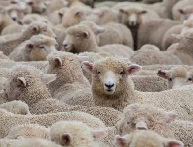 The Philosophy Of Oneness and Mixed-up Religion
