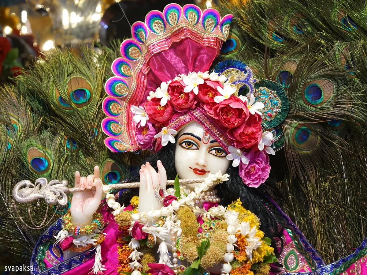 The Dawn of Love - 08 Feb 2013 - Govinda lilamrta