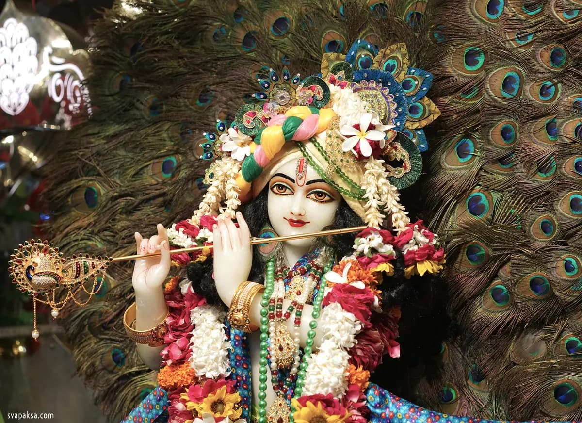 WHAT HAPPEN'S WHEN YOU MEDITATE ON THE SYMBOLS ON KRSNA'S LOTUS FEET? - Do They Give Shakti?